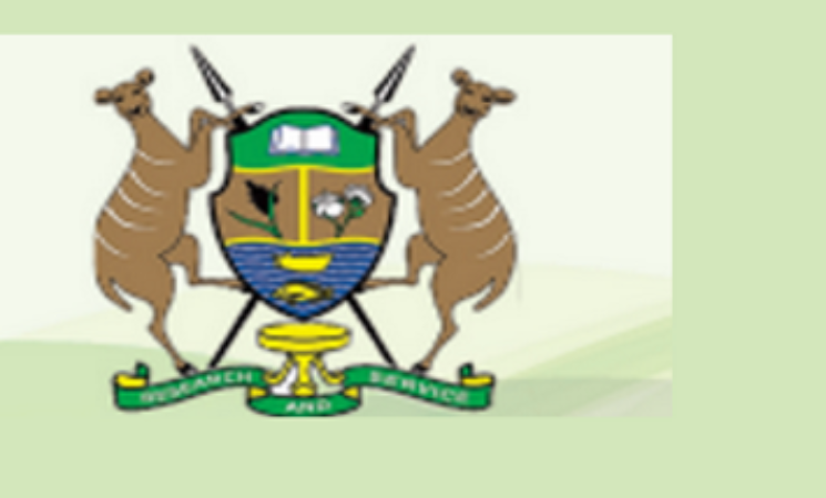Education, Youth Affairs, Gender and Social Services