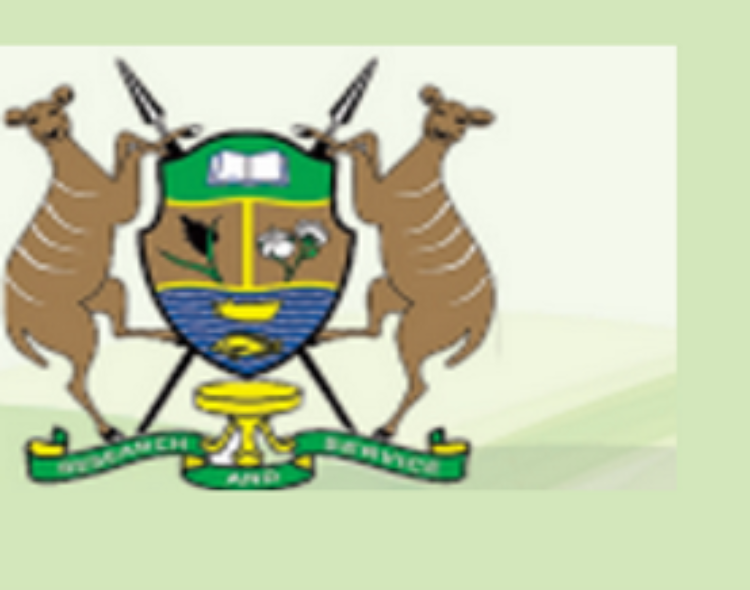 Governance and Administration
