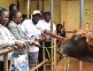 Farmer Field Day at Said Obama's Farm in South East Alego