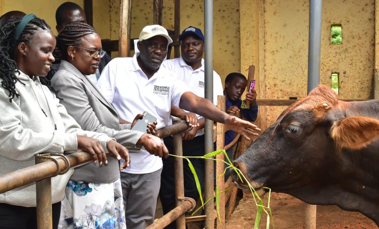 Farmer Field Day at Said Obama's Farm in South East Alego
