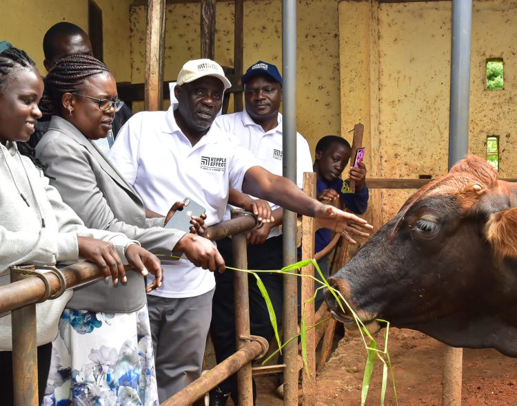 Farmer Field Day at Said Obama's Farm in South East Alego