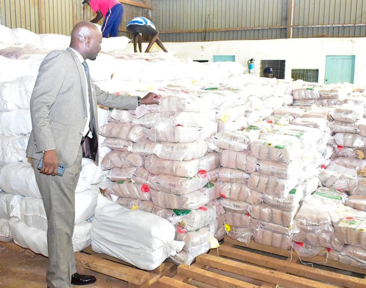 Siaya Commence Distribution of Sunflower Seeds To Boost Productivity