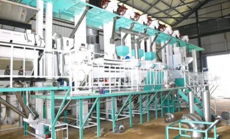 Siriwo Rice Mill to Thrive as Siaya County's Rice Production Soars, Thanks to the Lower Nzoia Irrigation Project