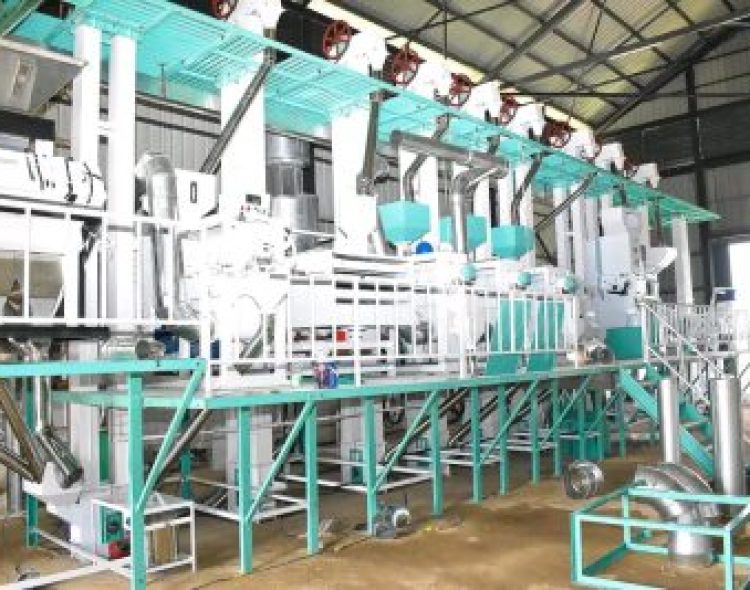 Siriwo Rice Mill to Thrive as Siaya County's Rice Production Soars, Thanks to the Lower Nzoia Irrigation Project