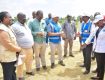 Anyiko and Sifuyo Rice Schemes to Benefit from High-Yield, Disease-Resistant Hybrid Rice Trials