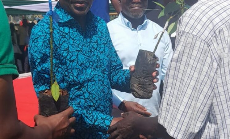 Governor Orengo Launches Hass Avocado Project Under FLLoCA to Empower Farmers and Combat Climate Change