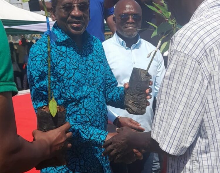 Governor Orengo Launches Hass Avocado Project Under FLLoCA to Empower Farmers and Combat Climate Change