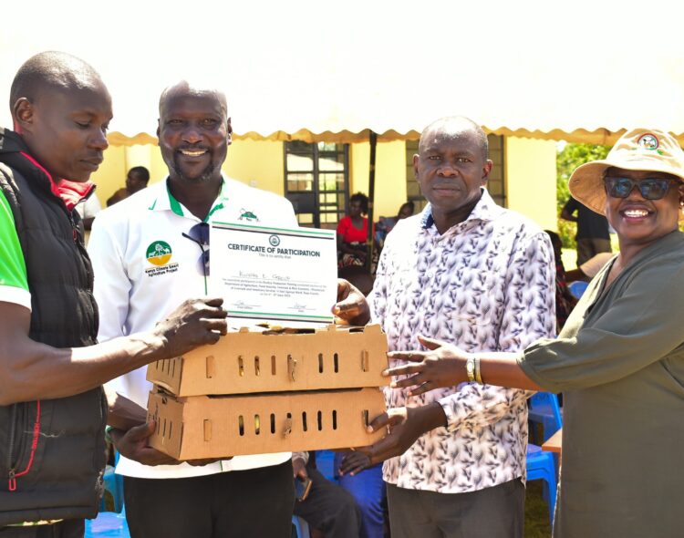 Siaya County Empowers Farmers with Free Chicks Distribution and Training in East Ugenya