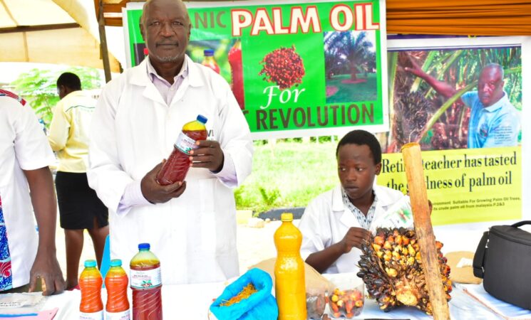 JOVICO Palm Oil Production