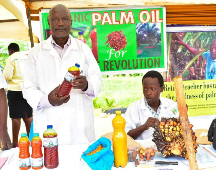 JOVICO Palm Oil Production