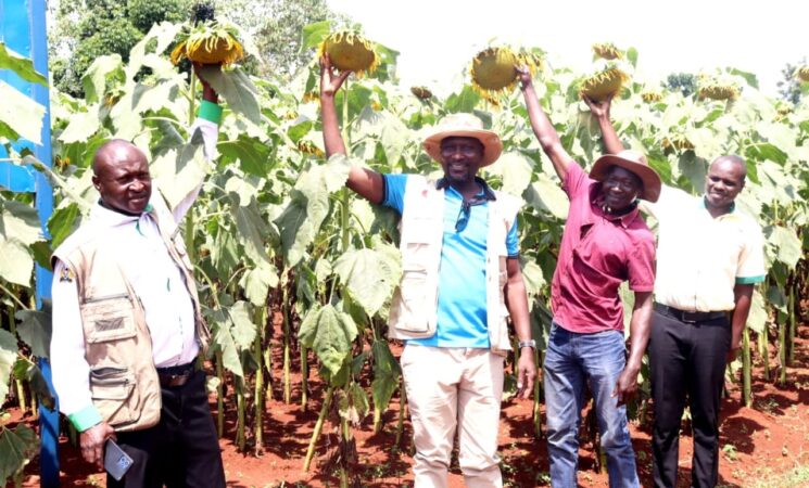David Onyunde’s Agricultural Triumph in Siaya County