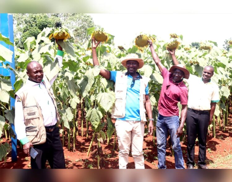 David Onyunde’s Agricultural Triumph in Siaya County