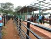 Siaya County Boosts Livelihoods with Ksh 46M Livestock Projects Under KeLCoP Partnership