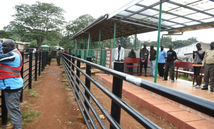 Siaya County Boosts Livelihoods with Ksh 46M Livestock Projects Under KeLCoP Partnership