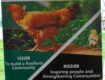 Green Heroes Unveils a Website to Empowers Farmers with Market Access and Climate-Smart Tools