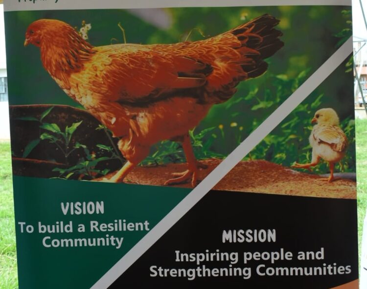 Green Heroes Unveils a Website to Empowers Farmers with Market Access and Climate-Smart Tools