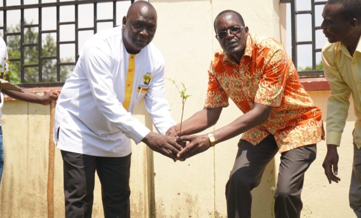 SIAYA PARTNERS WITH NGO FOR TREE PLANTING