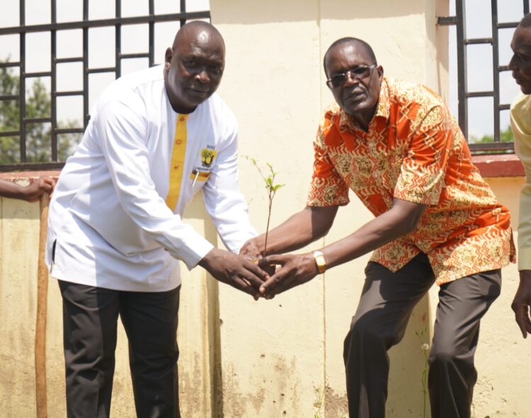 SIAYA PARTNERS WITH NGO FOR TREE PLANTING