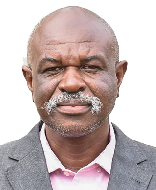 Mr. Peter Ligulu