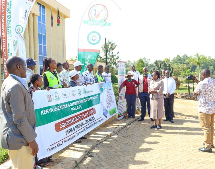 Siaya Livestock Champions Set for 2026 Learning Fair in Nakuru