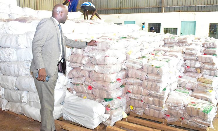 Siaya Commence Distribution of Sunflower Seeds To Boost Productivity