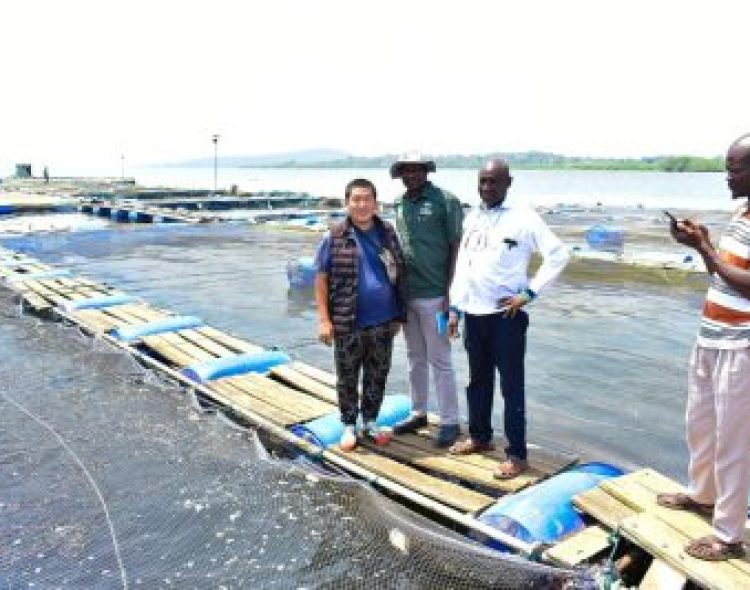 Strengthening the Blue Economy: CECM K'Okoth Sylvestre Visits Aquaculture Investments in Sirongo Beach