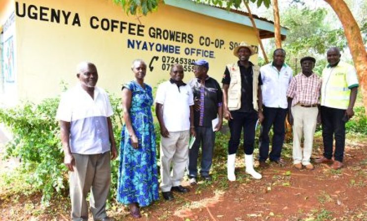 Coffee Farming Takes Root in Siaya with Ugenya Cooperative Kicking Off the Ambitious Plan