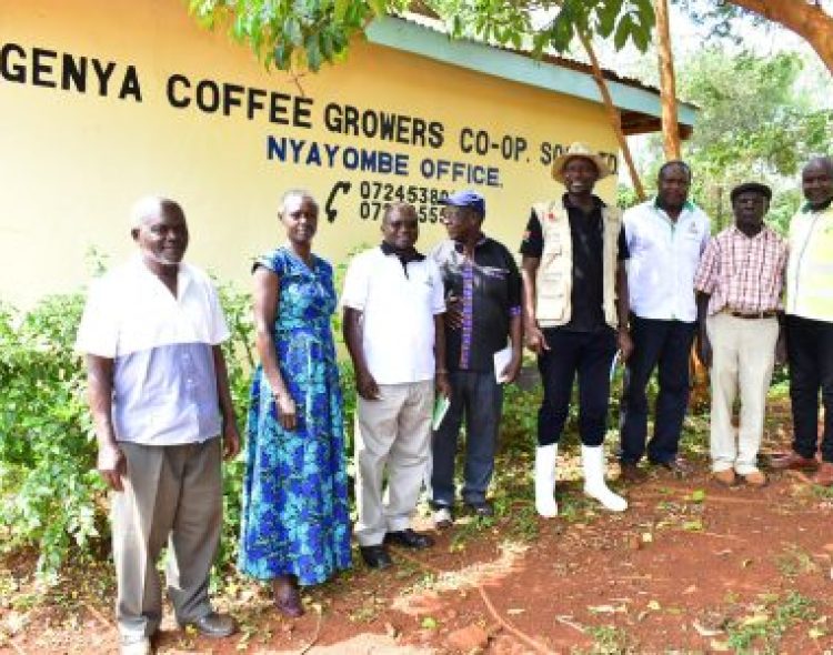 Coffee Farming Takes Root in Siaya with Ugenya Cooperative Kicking Off the Ambitious Plan