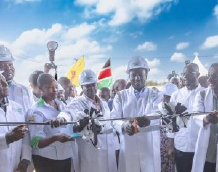 President Ruto Commissions KES 60 Million Siriwo Rice Mill, Pledges Additional Investment for Full-Fledged Factory