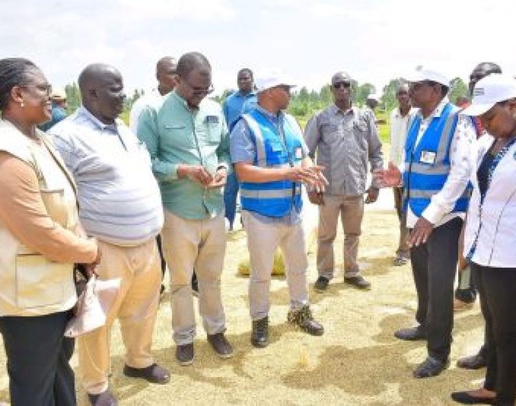 Anyiko and Sifuyo Rice Schemes to Benefit from High-Yield, Disease-Resistant Hybrid Rice Trials