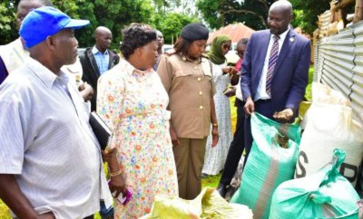 Siaya Hosts Prime Cabinet Secretary’s Team, Showcases Progress in Edible Oil Crop Initiatives