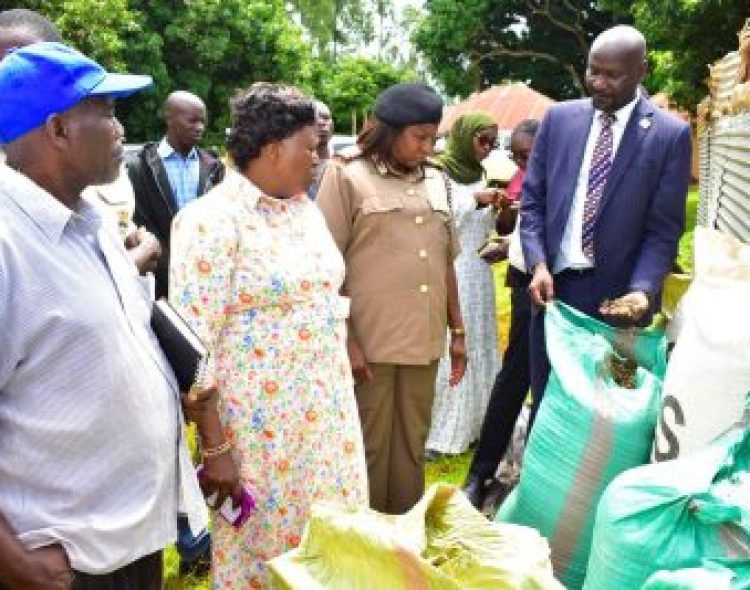 Siaya Hosts Prime Cabinet Secretary’s Team, Showcases Progress in Edible Oil Crop Initiatives