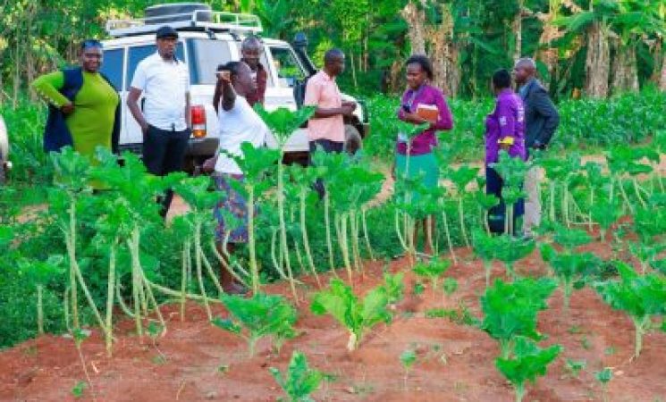 Samburu County Embraces Siaya's Smart Start Nurturing Care Programme