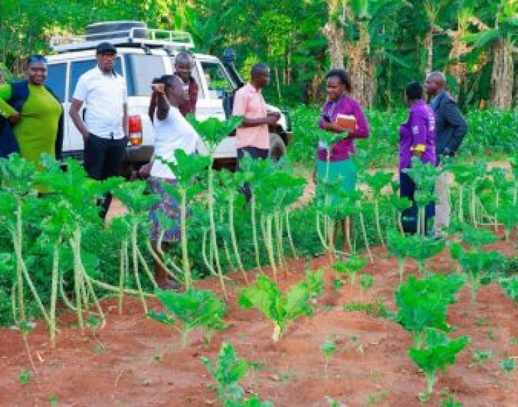 Samburu County Embraces Siaya's Smart Start Nurturing Care Programme