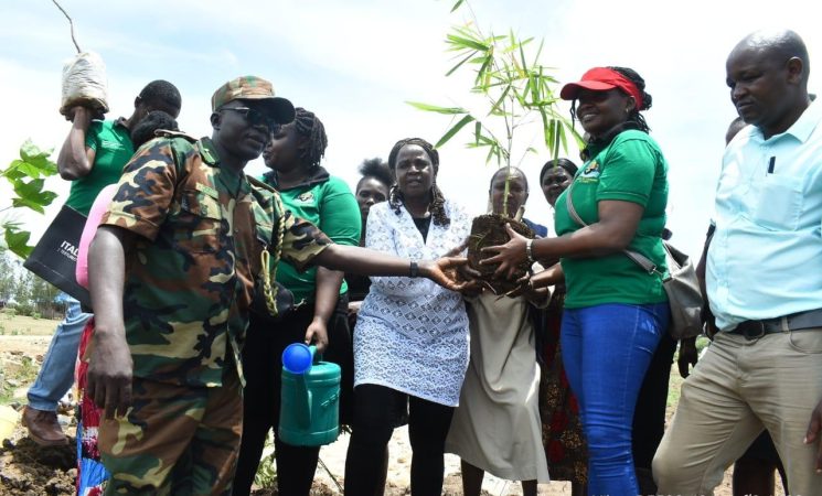       SIAYA CELEBRATES INTERNATIONAL DAY OF FORESTS 2025