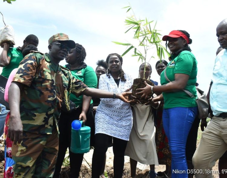       SIAYA CELEBRATES INTERNATIONAL DAY OF FORESTS 2025